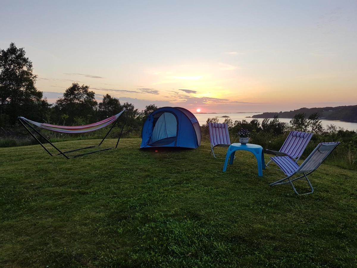 Leite Gård near Atlantic Road in Hustadvika Lyngstad Exteriör bild