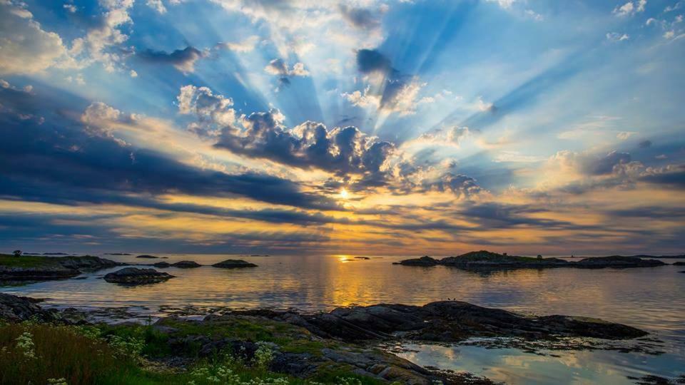 Leite Gård near Atlantic Road in Hustadvika Lyngstad Exteriör bild